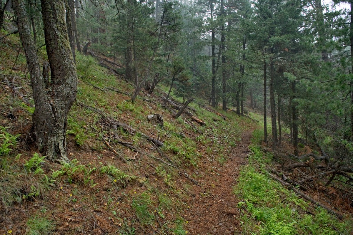 Seven Brothers Mountain