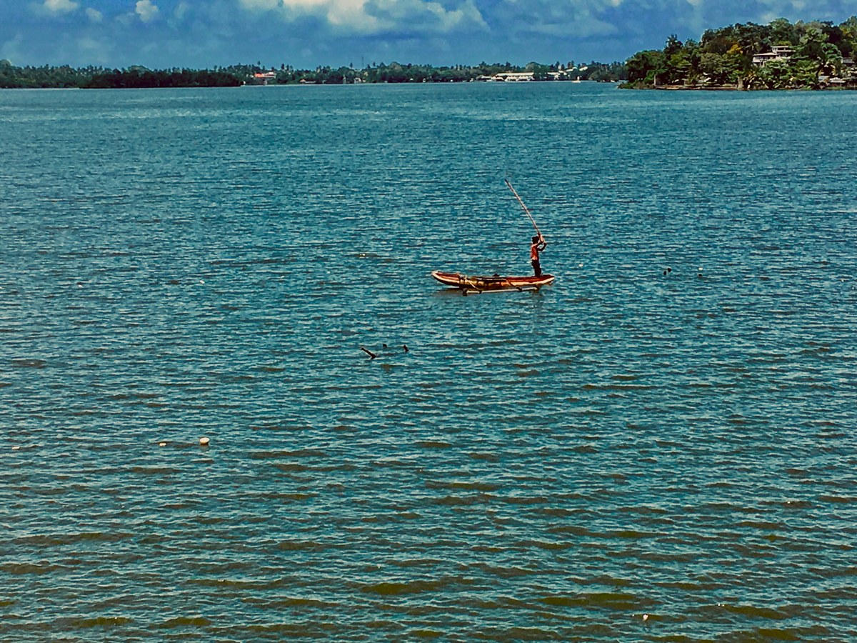 Bolgoda Lake