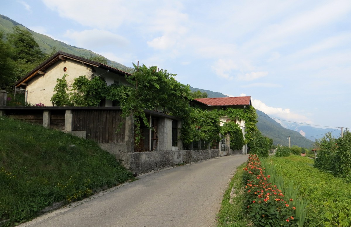 Stol (Julian Alps)