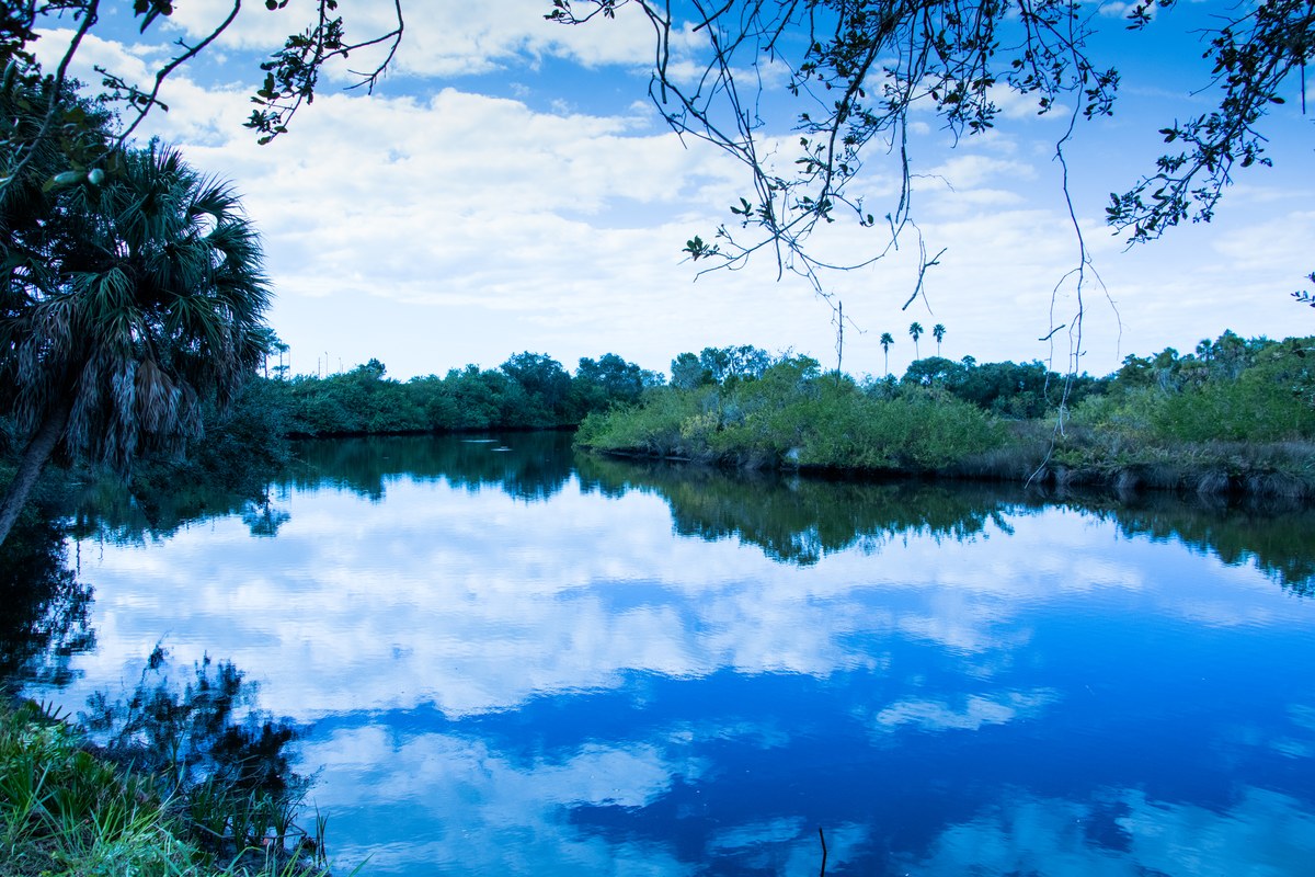 Ward Lake