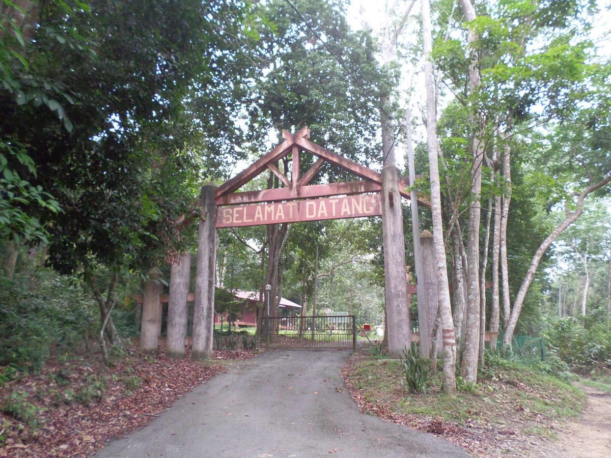 Bukit Lebah