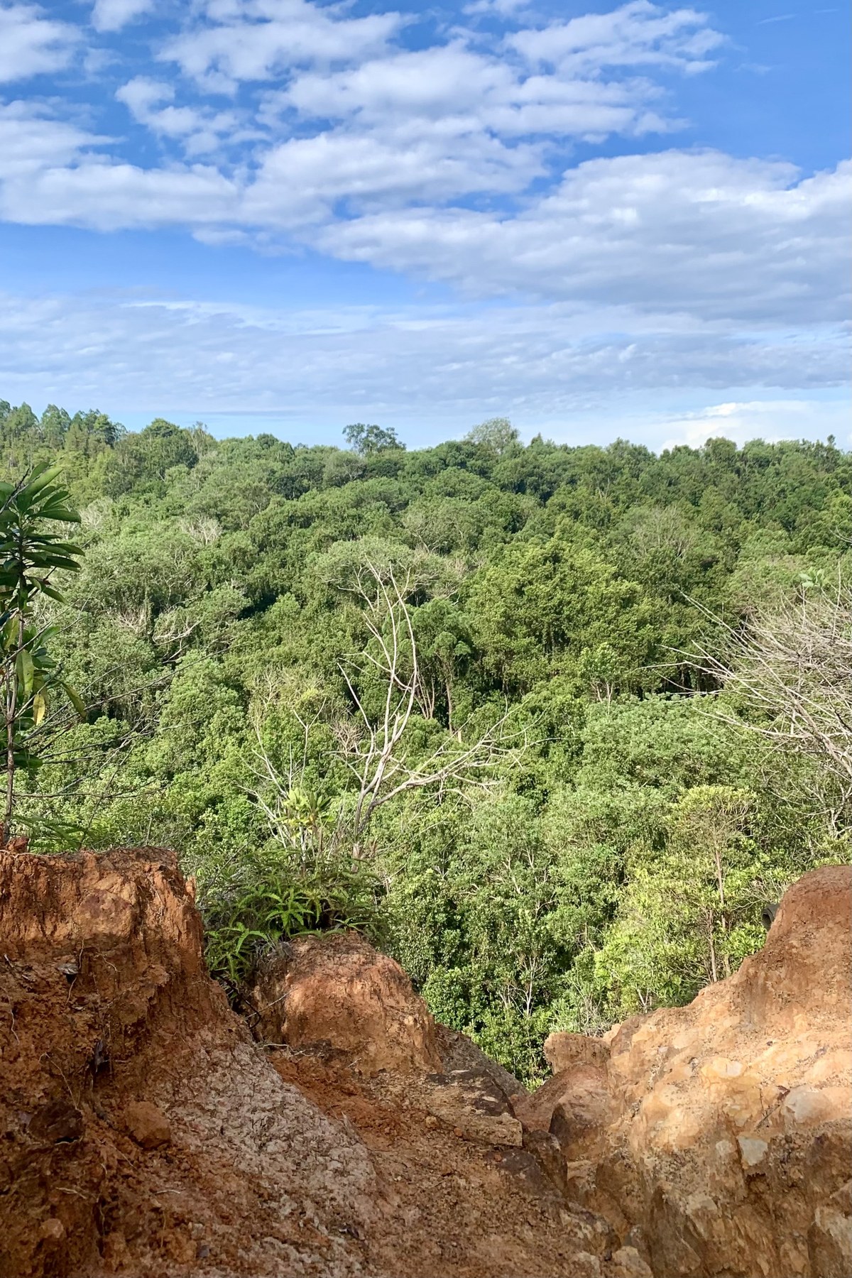 Bukit Mejawa