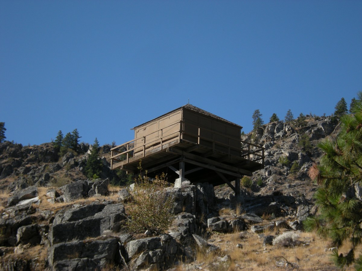 Badger Mountain Lookout