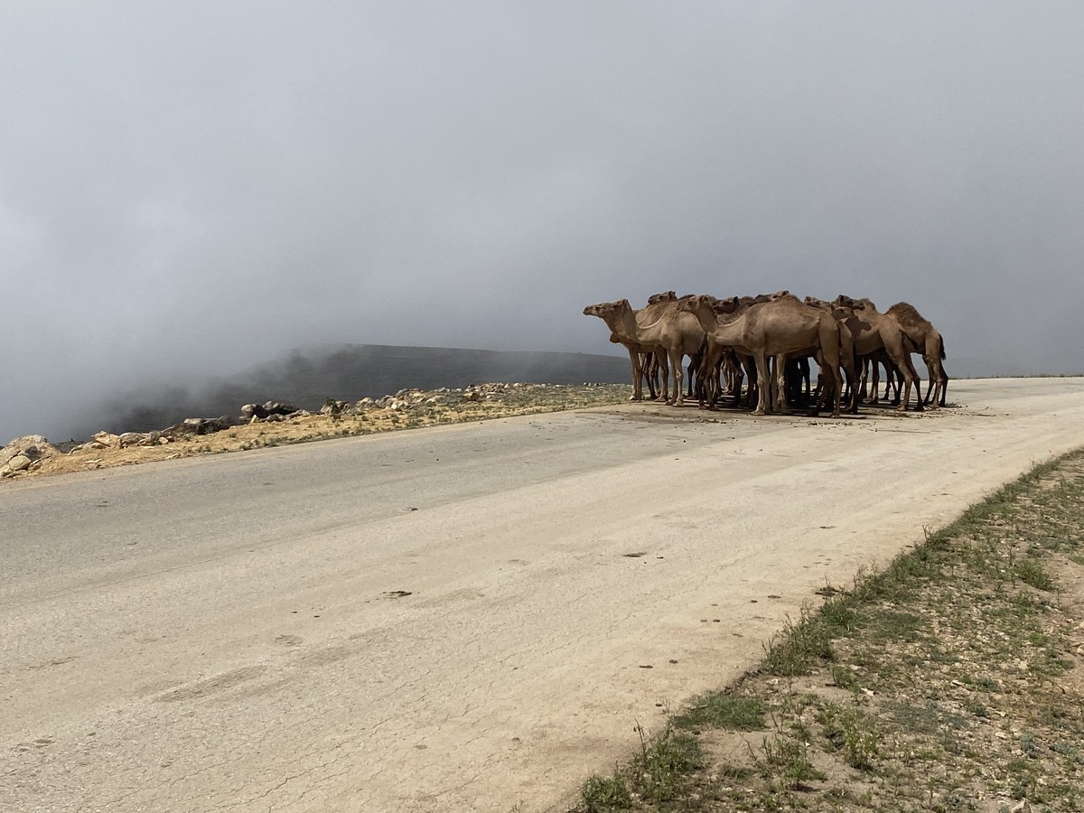 Jabal Tish-haa