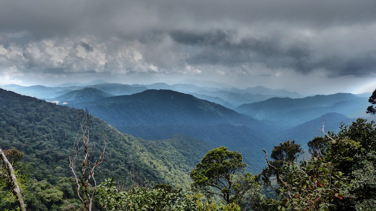 Bukit Ruil
