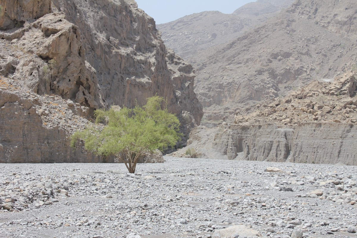 Jabal Halim