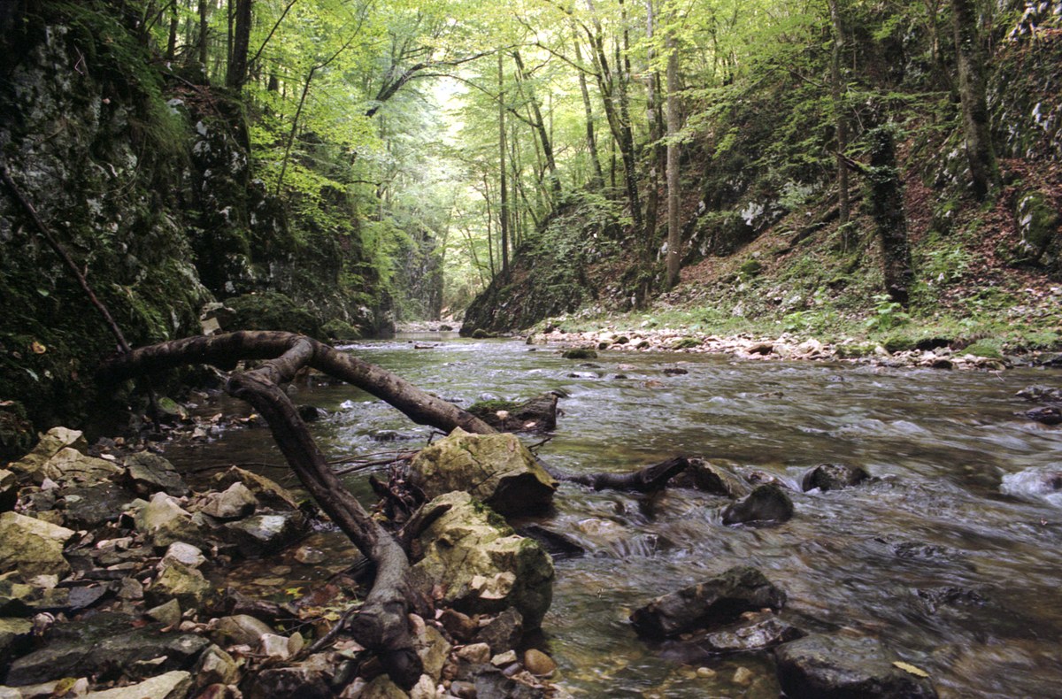 Semenic-Cheile Carașului National Park