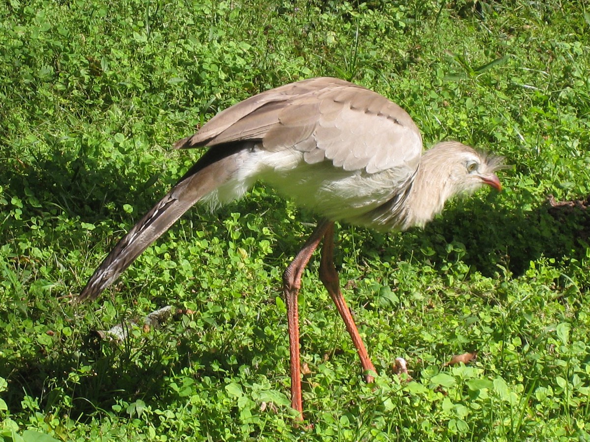 El Rey National Park