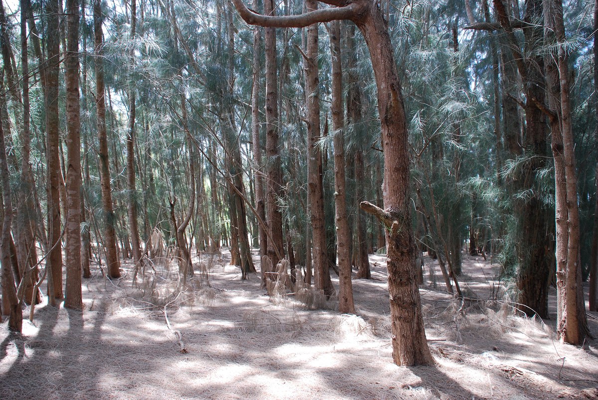 Lake Lotela