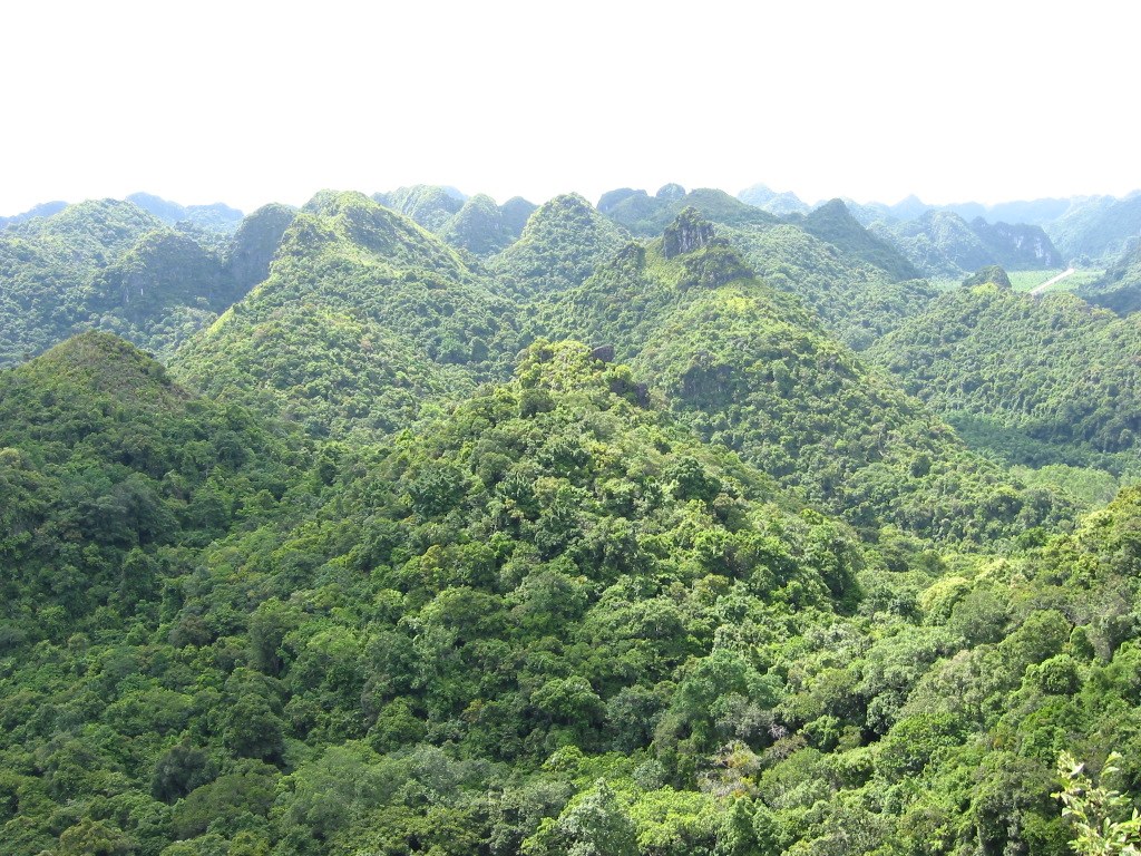 Cat Ba National Park