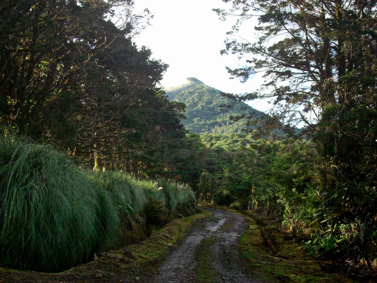Cerro Zurquí