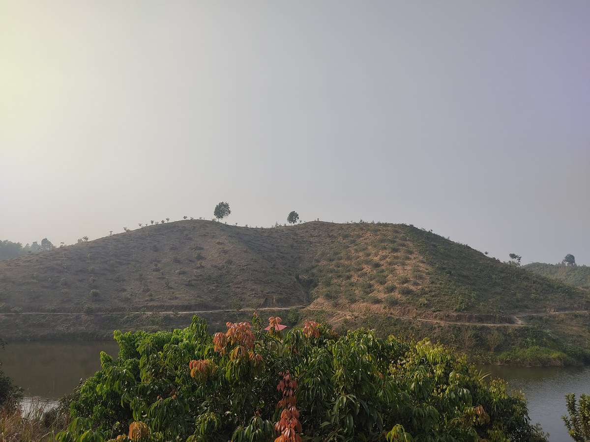 Chairman Lake
