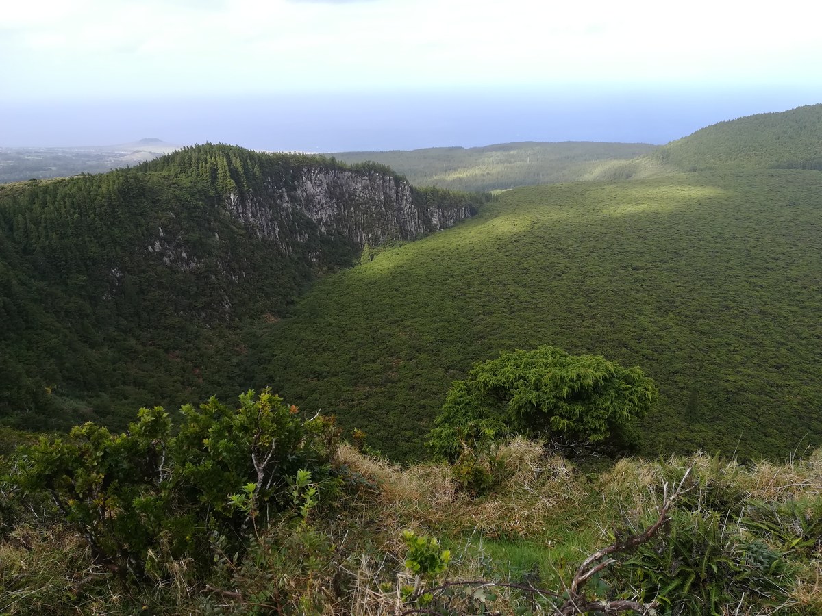 Pico Alto