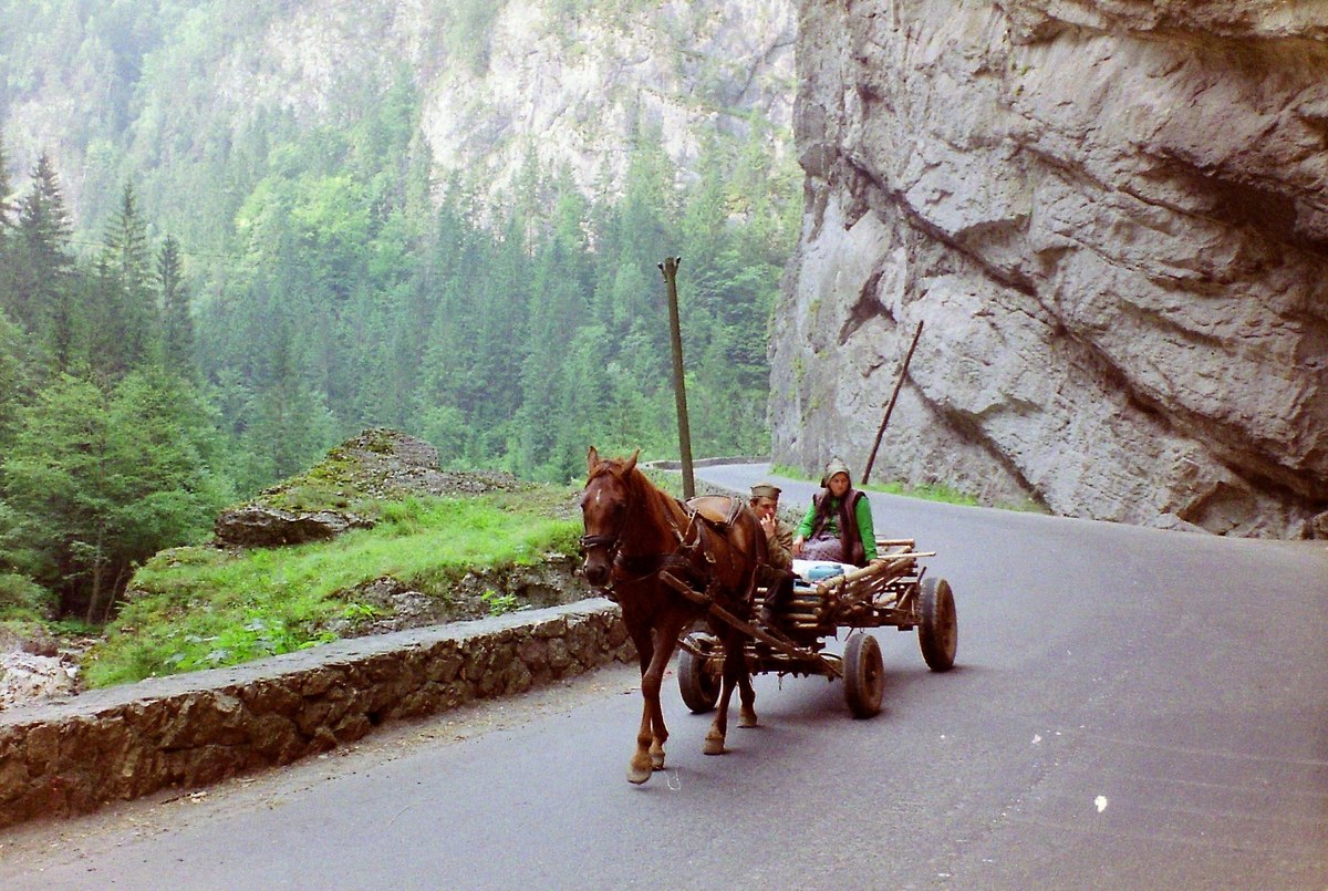 Muntele Măgura