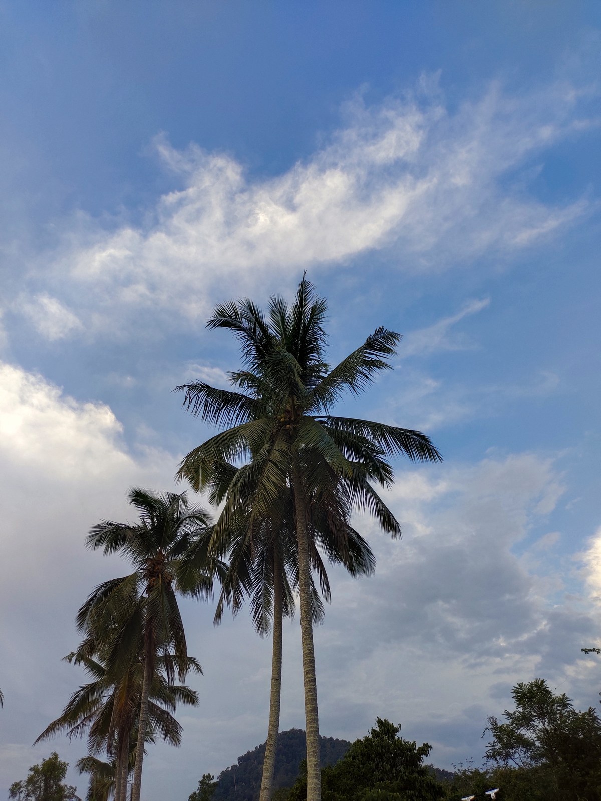 Bukit Baginda