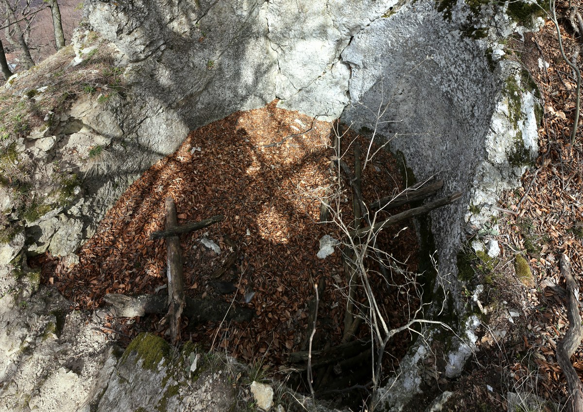 Măgura Codlei
