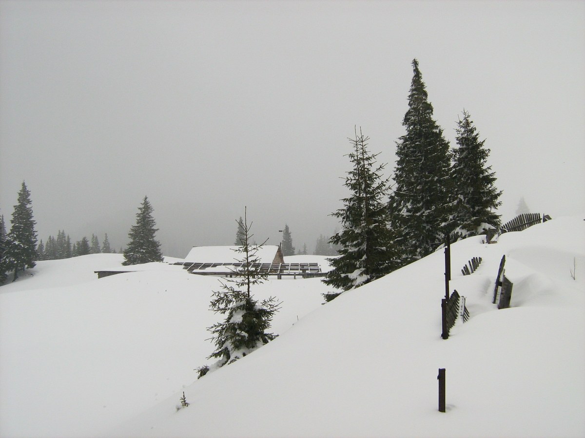Pietrele Doamnei