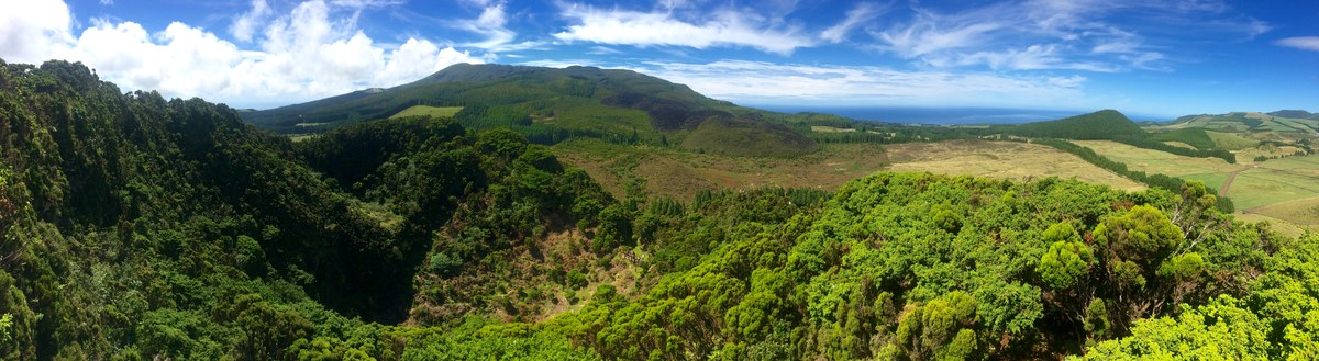 Pico Gaspar