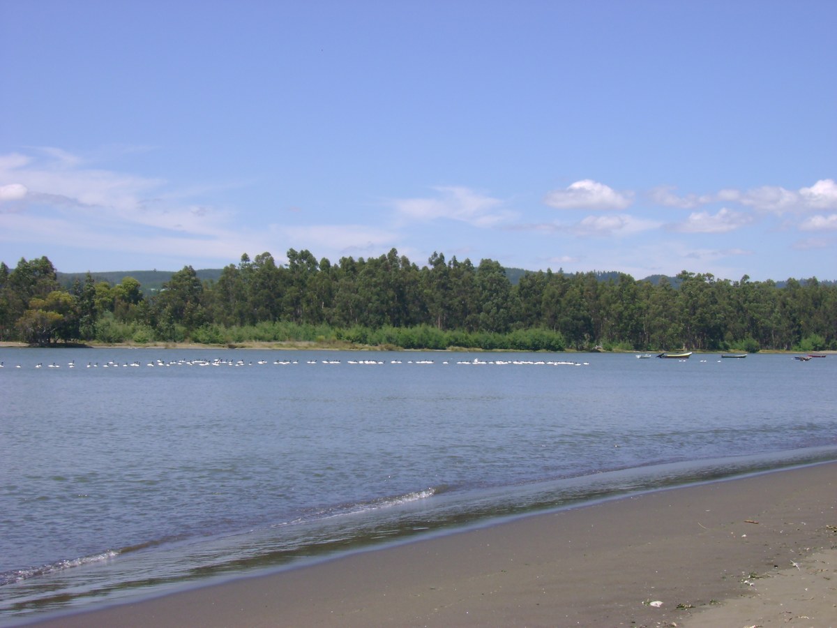 Playa Quivolgo