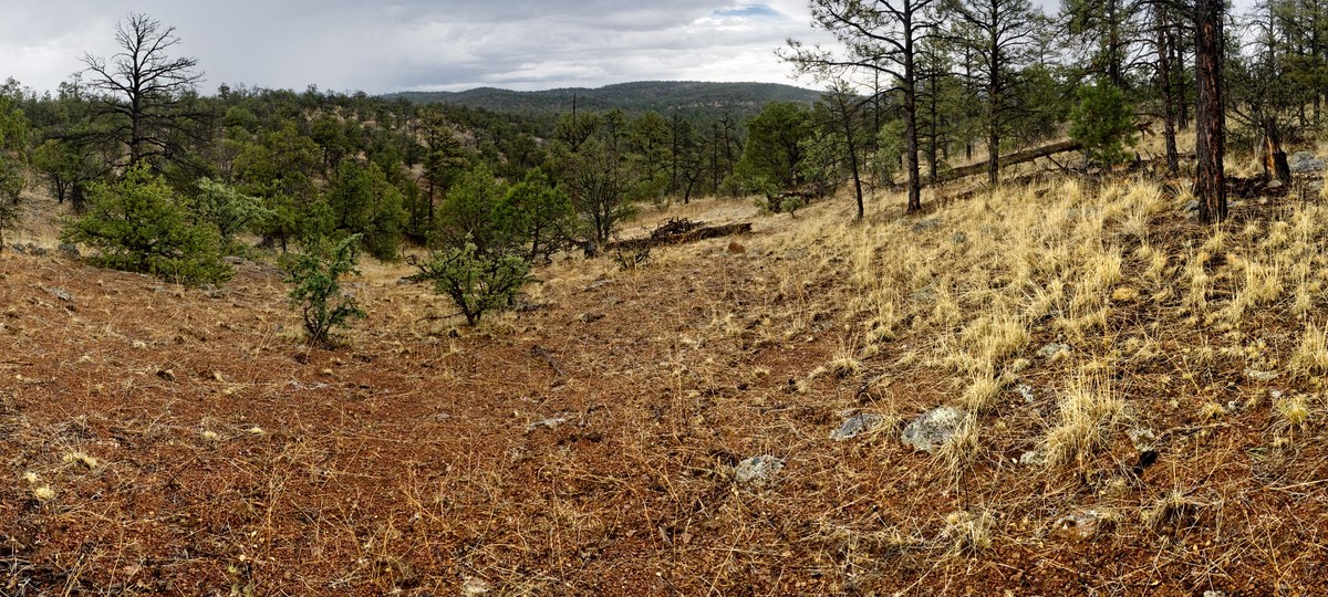 Sawmill Peak