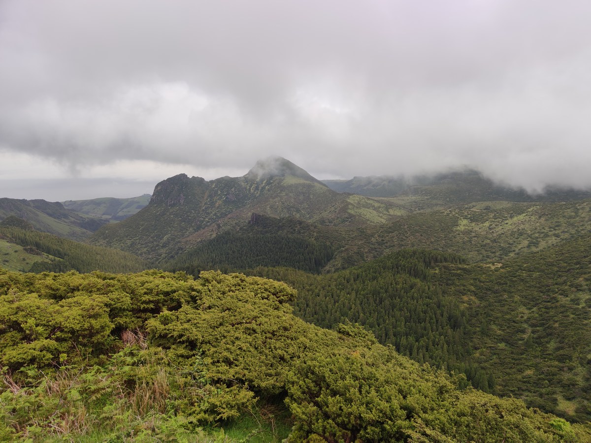 Morro Alto