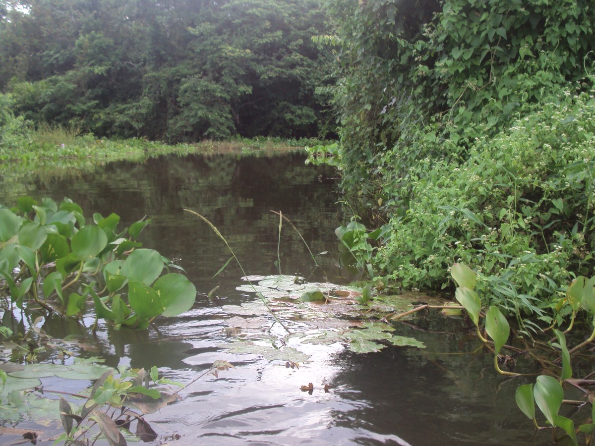 Serra do Pantanal