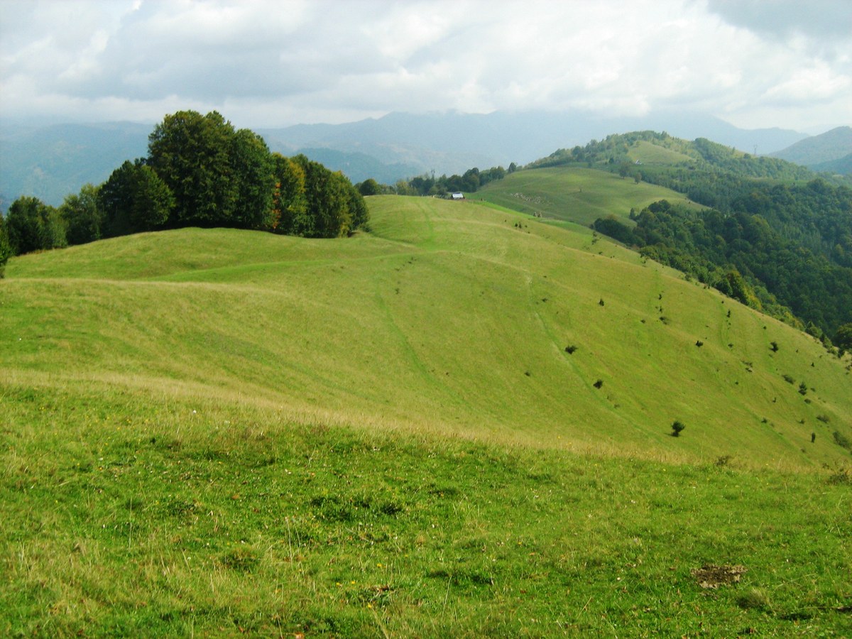 Latorița Mountains
