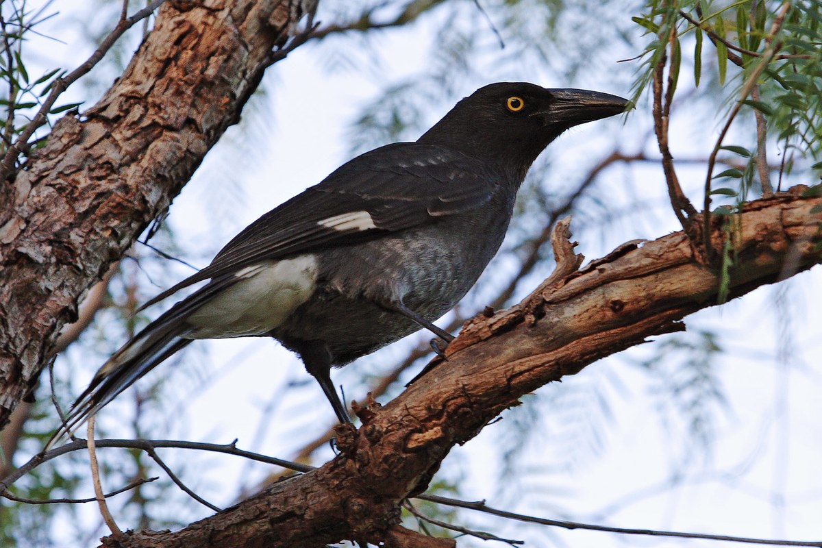 Beeron National Park