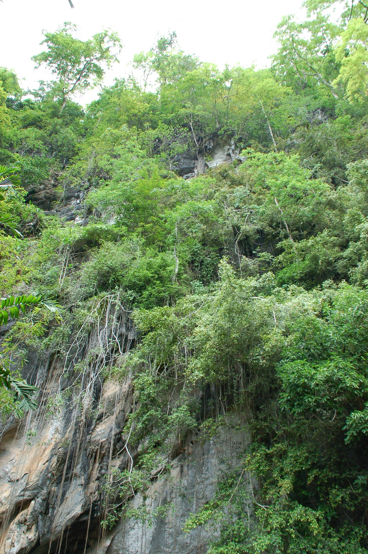 Bukit Manek