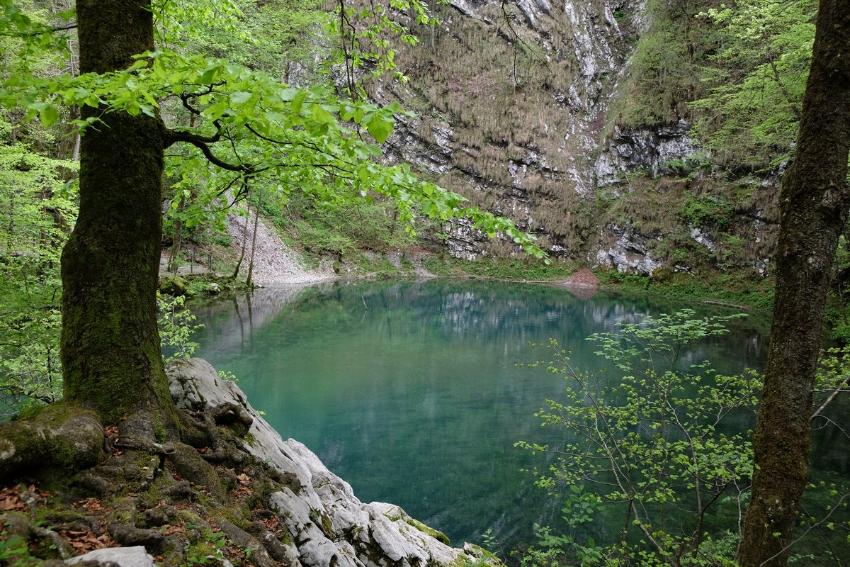 Wild Lake