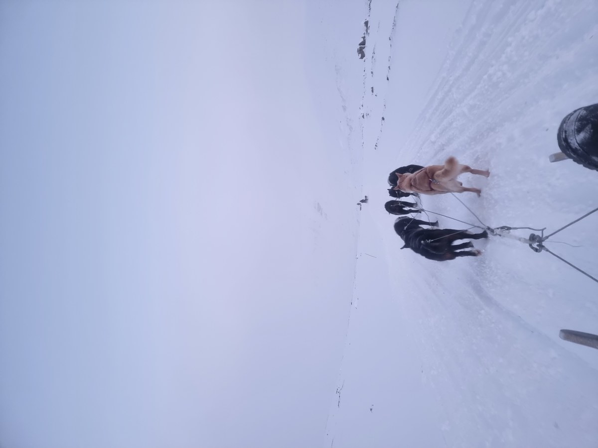 Ayerbreen