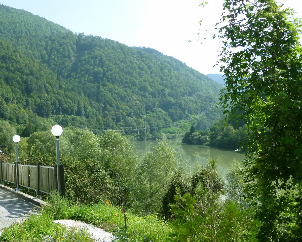 Jurčičev Vrh