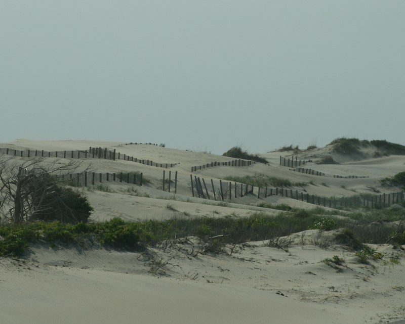 Pea Island