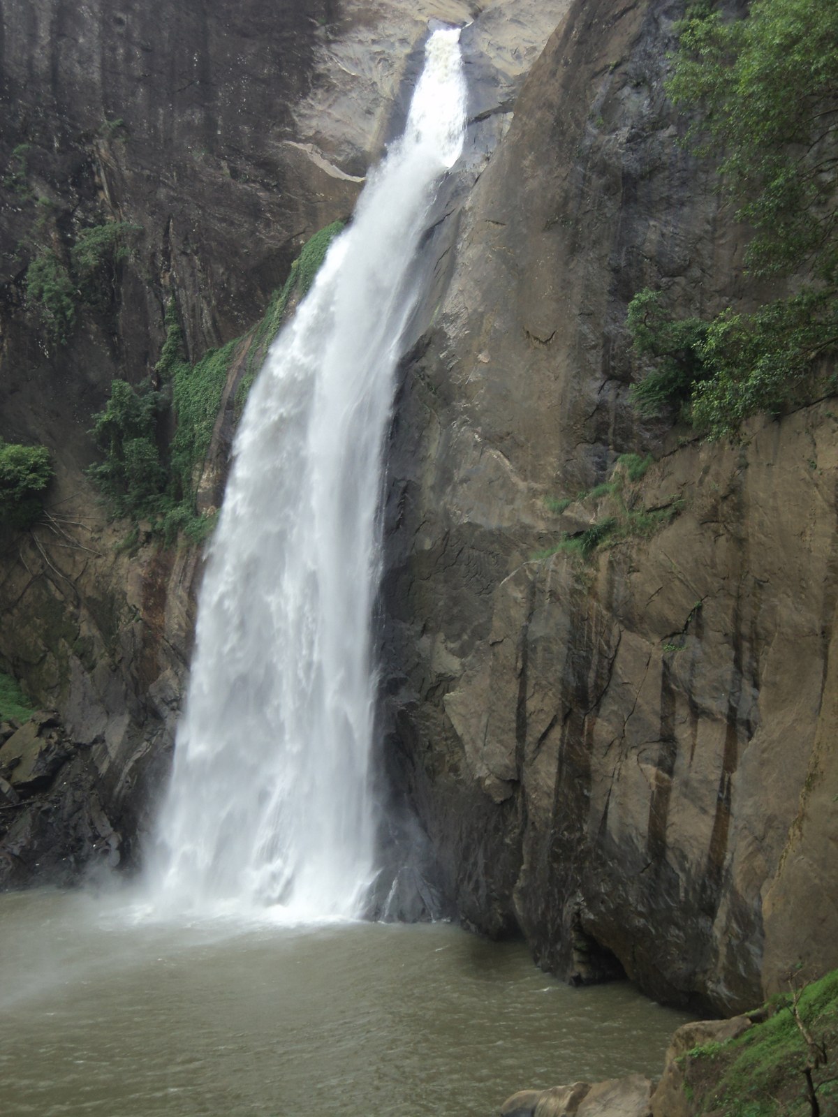 Ambagaselakanda