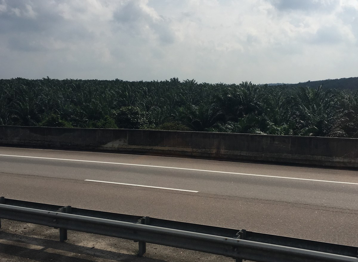 Sultan Iskandar Reservoir