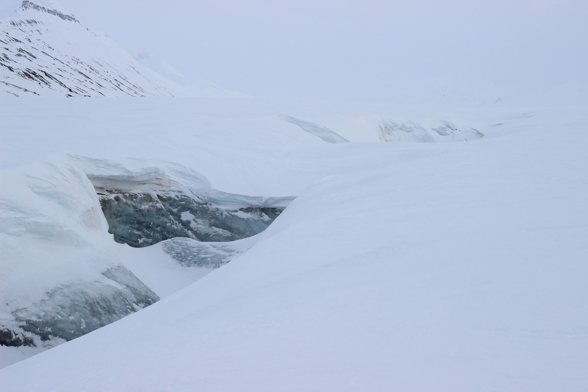 Austre Grønfjordbreen