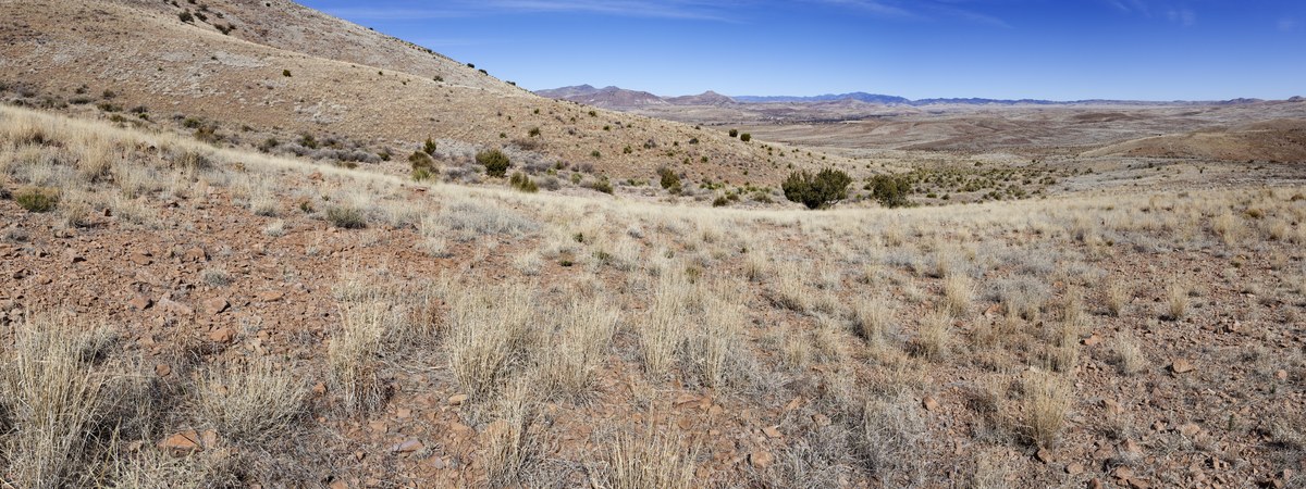 Taylor Mountain