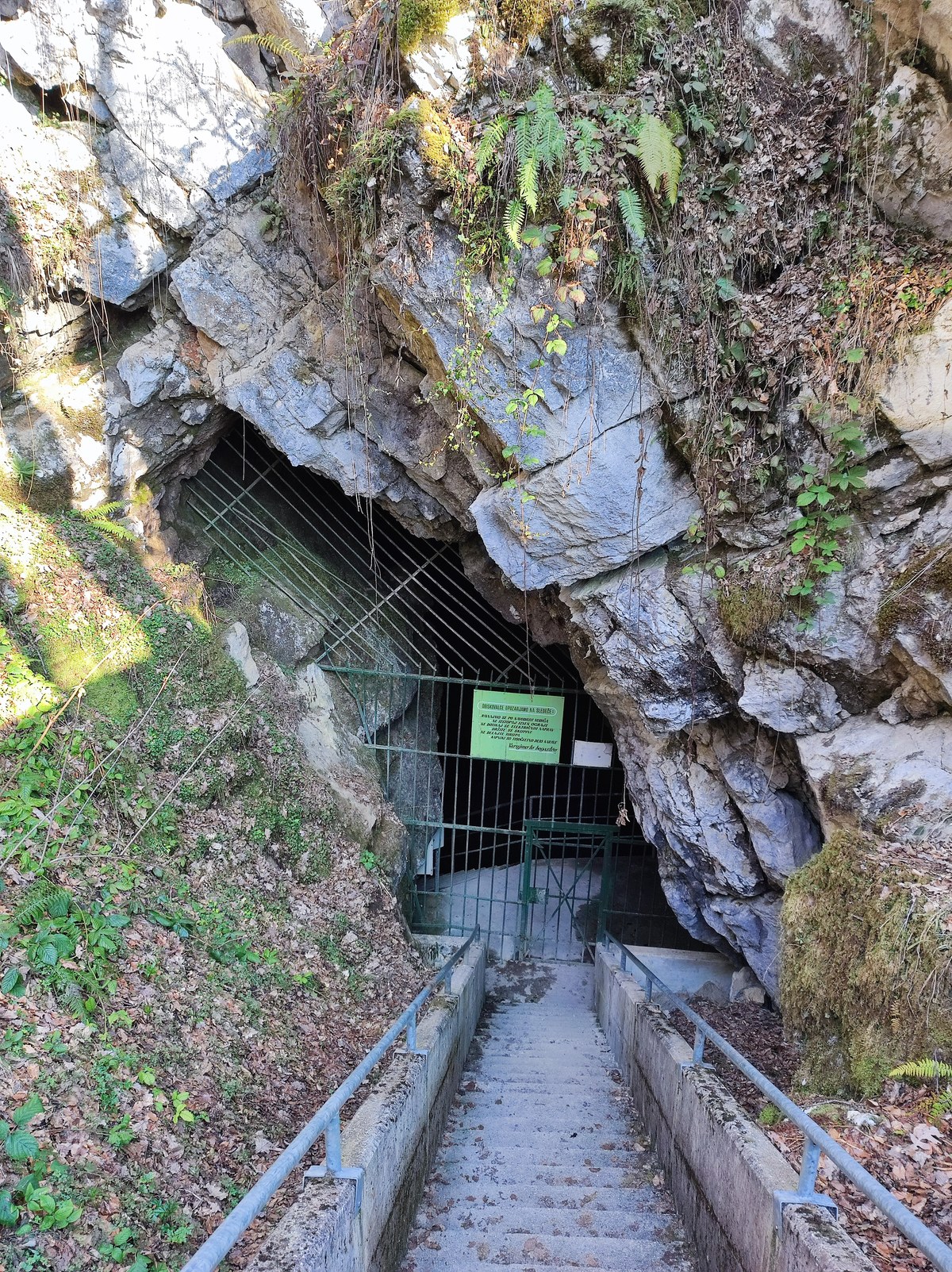 Mayor's Cave