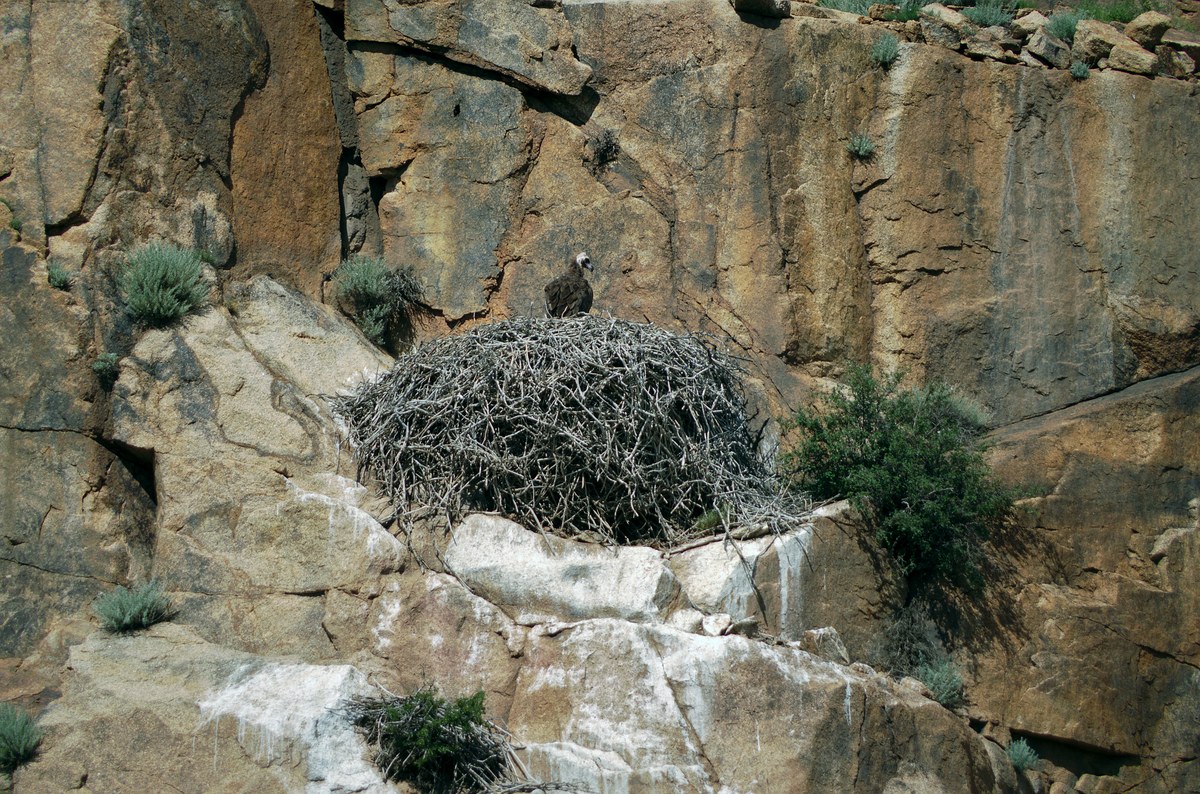 Baga Gadzrïn Chulu