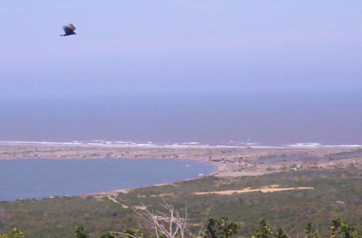 Playa de Pradomar