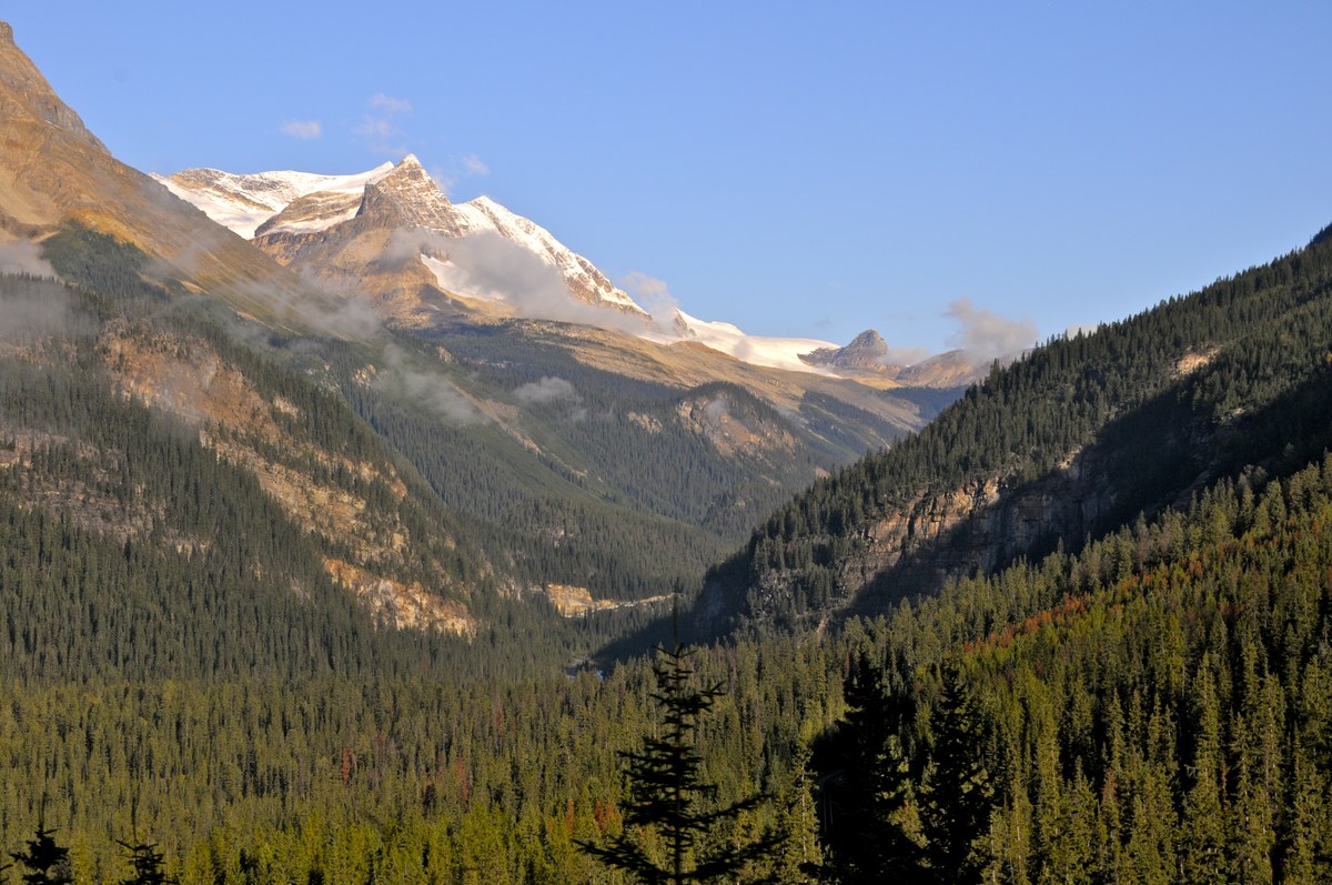 Cathedral Glacier
