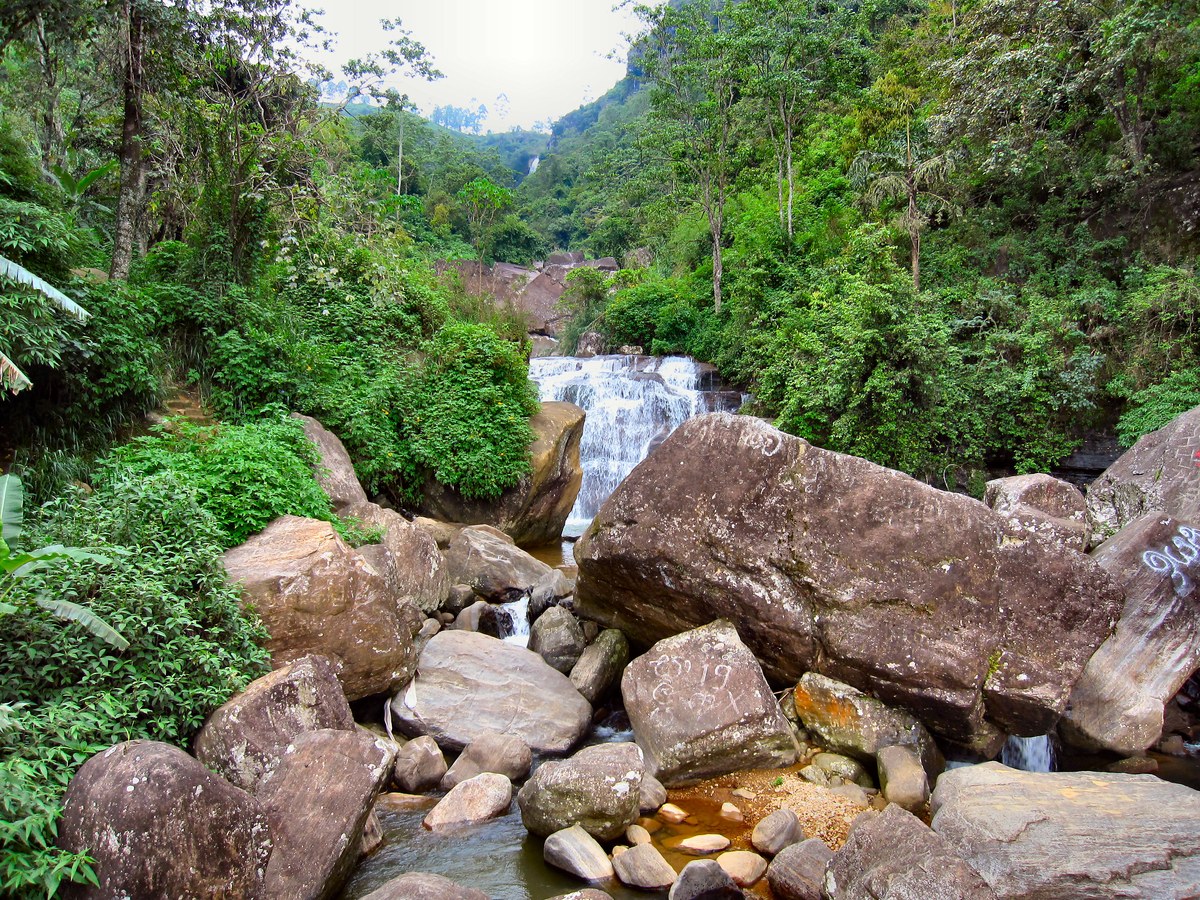 Ulapana
