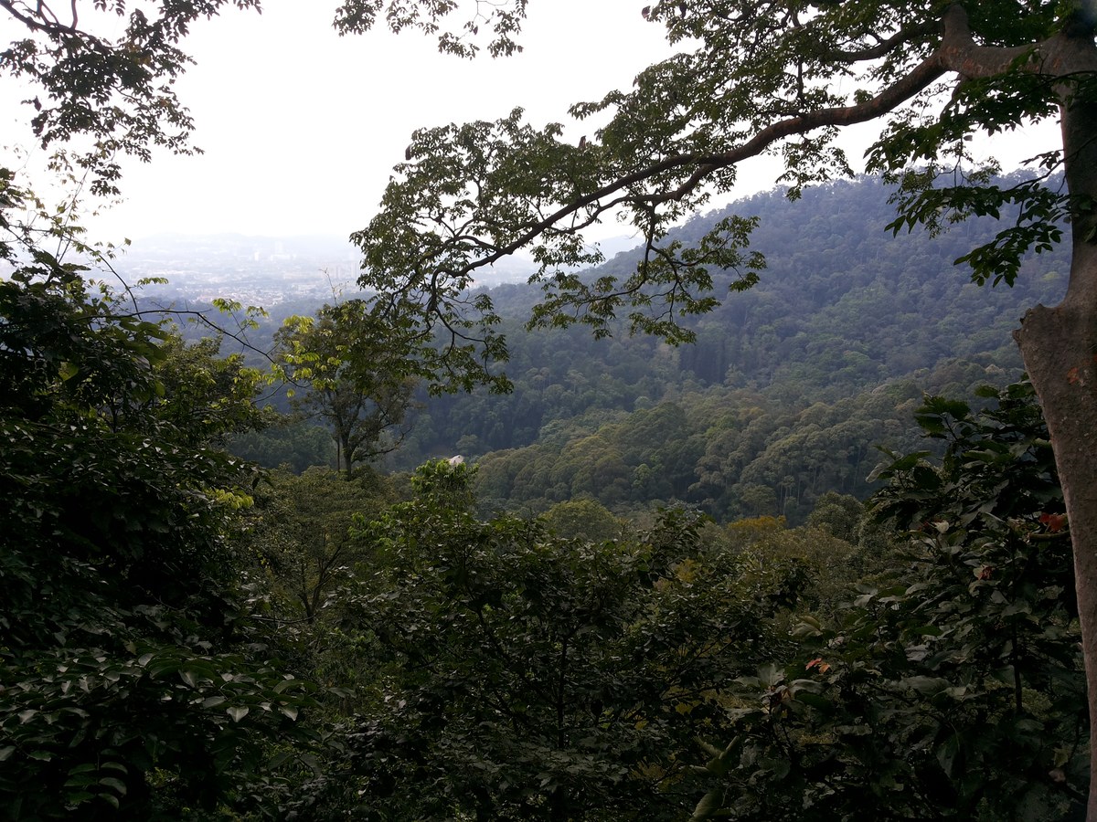 Bukit Nolang