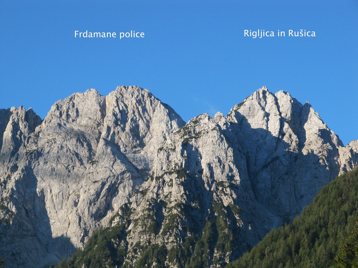 Frdamane police