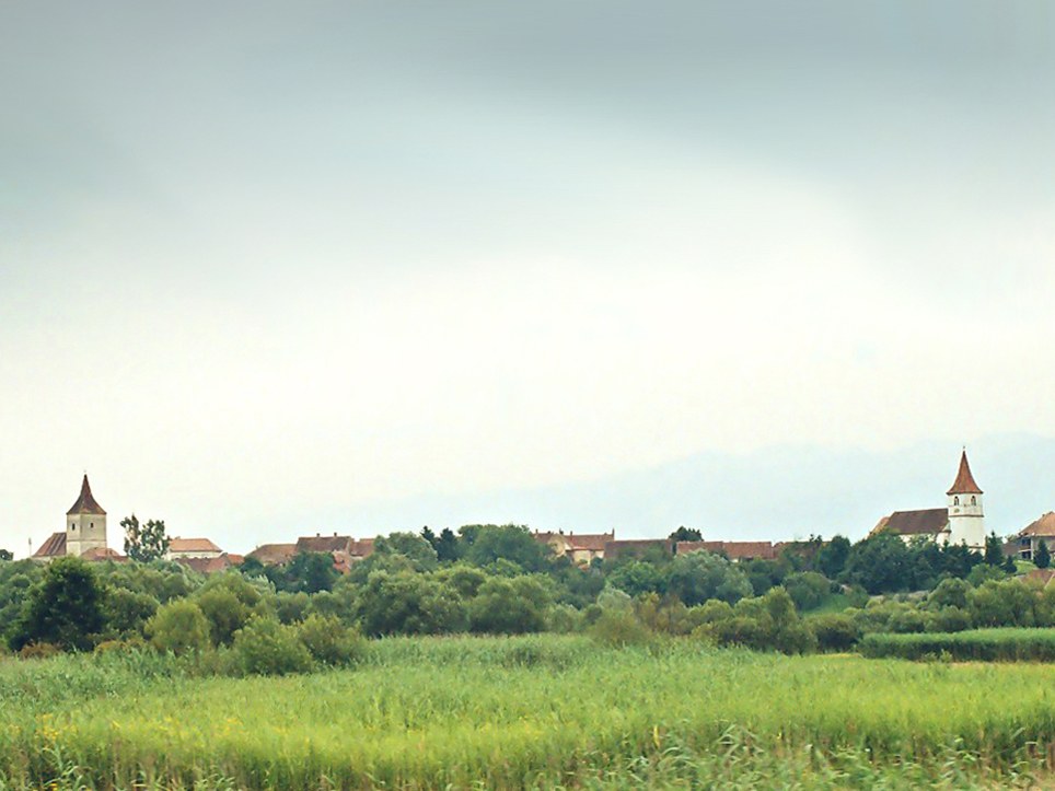 Avrig Lake