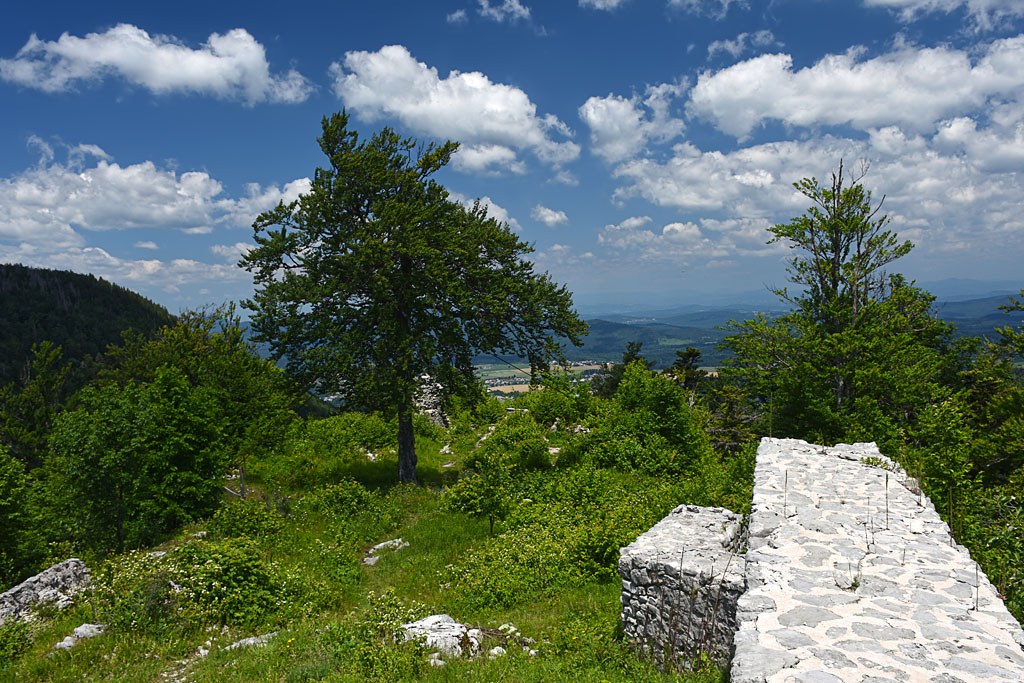 Kočevska Gora