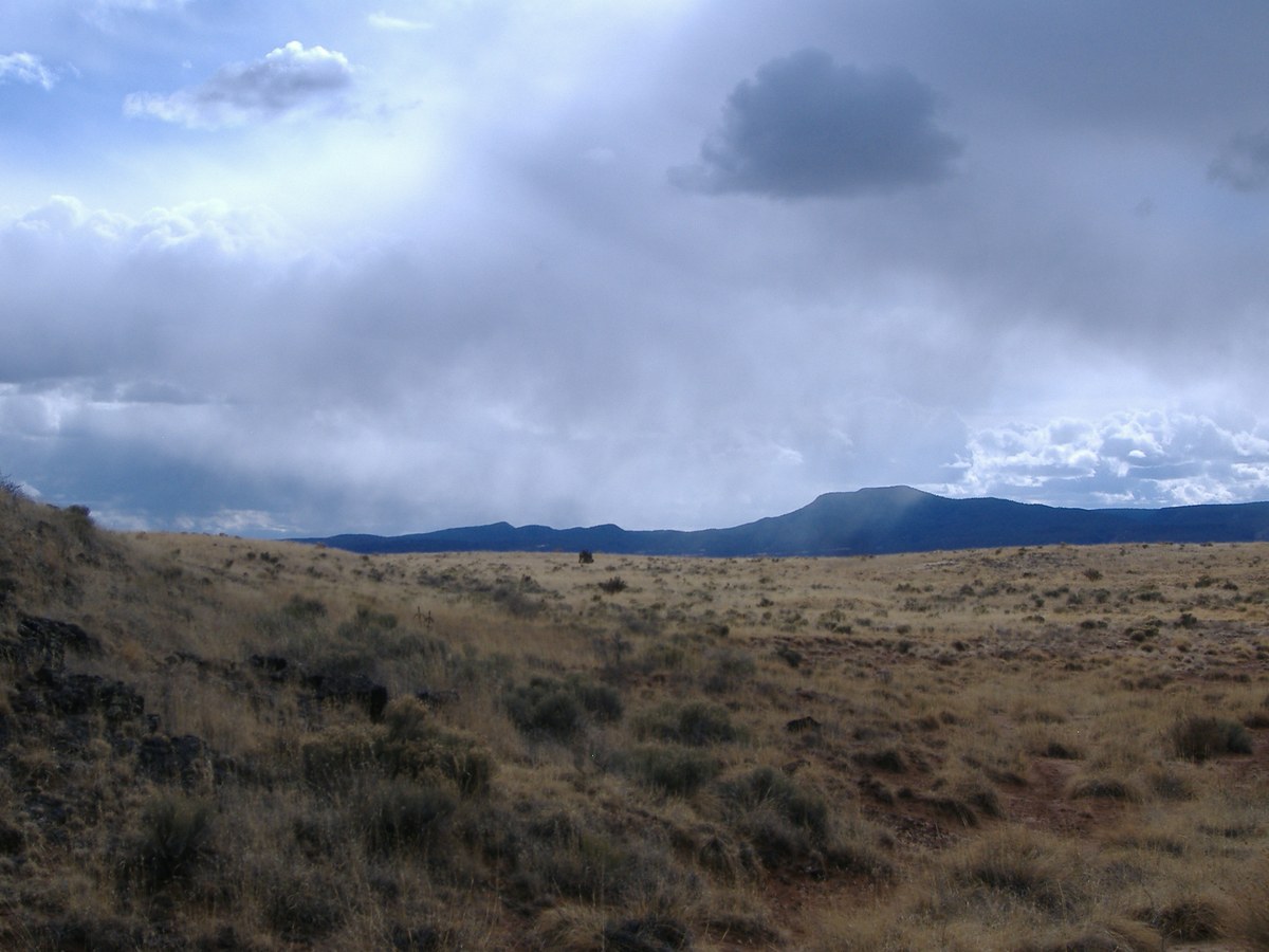 Laguna del Chical