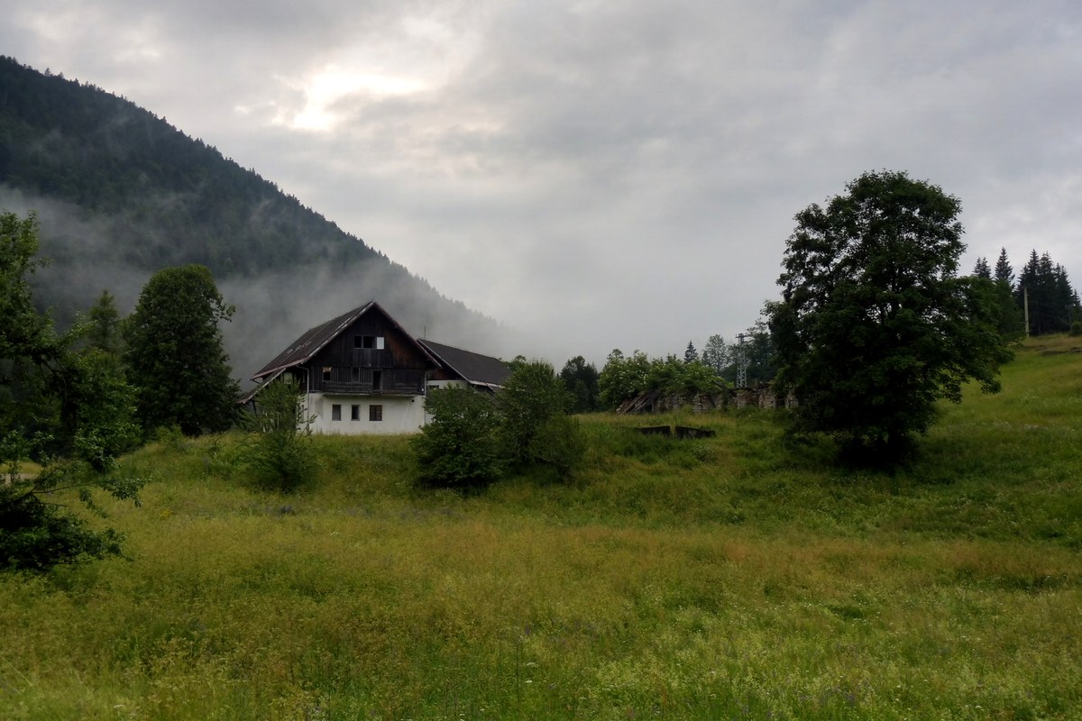 Debeli vrh