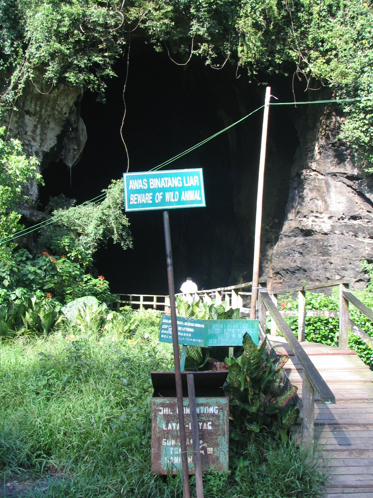 Gomantong Caves