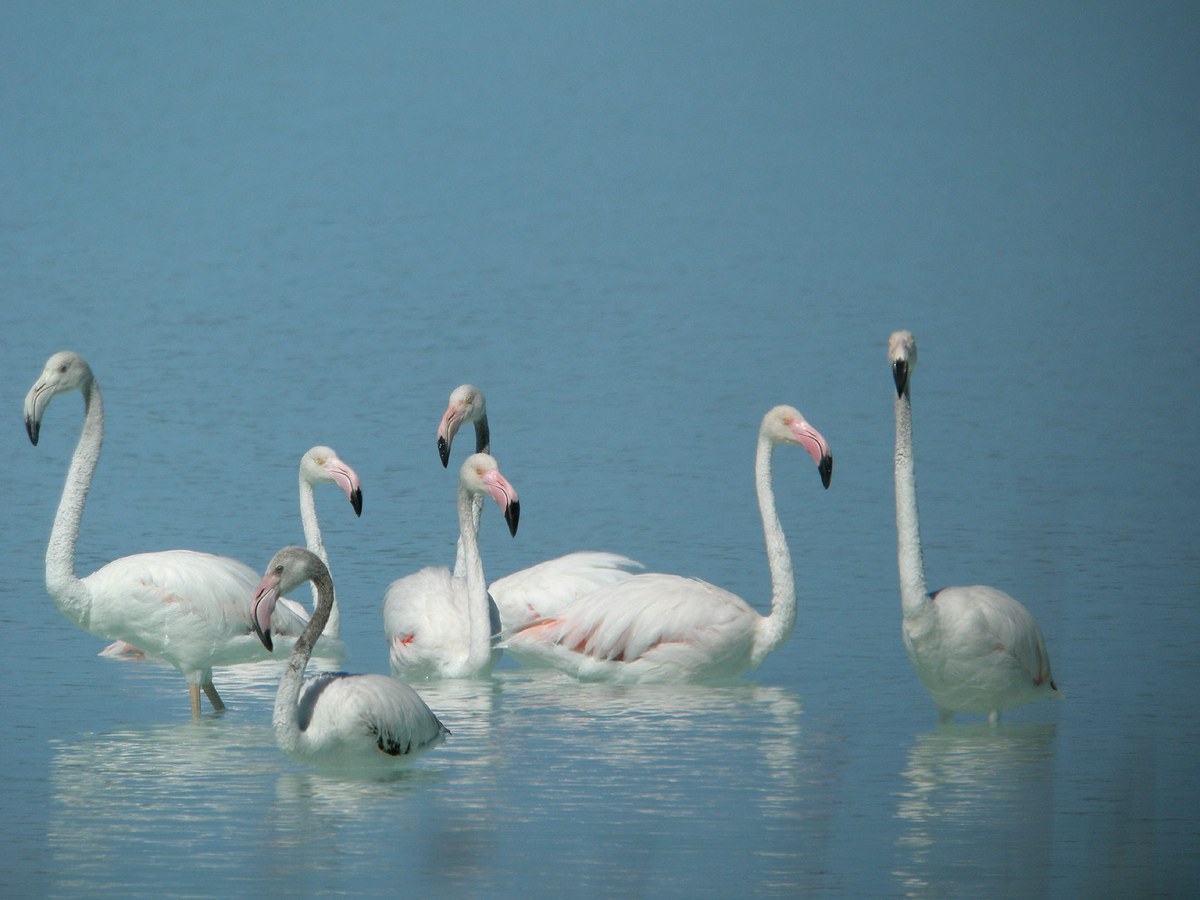 Lake Tsimanampetsotsa